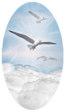 DNSBLUF 101 BL Lourney Home Clouds Blue